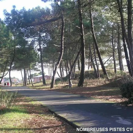 House Les Palmyriennes Maison Mitoyenne Proximite Plages Et Commerces Par Pistes Cyclables La Palmyre